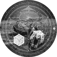 PP036 B2 Audio Injection - Darker (Alex Bau Repaint)