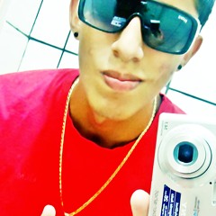 Mc Vinicinho - Tudo que elas gosta 2 [DJ Everton Detona]