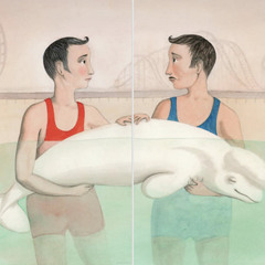 Sophie Blackall on Design Matters with Debbie Millman: The Whale at Coney Island