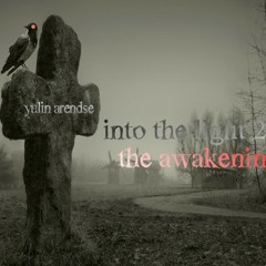 Yulin Arendse I'm in the light 2013