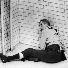 Les oiseaux chantent et ta mère brûle