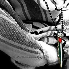 هَل أرآك ..!!