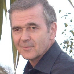 Mick Flavin From Drumlish