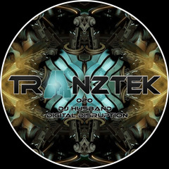 DJ Husband - Digital Disruption [Tranztek Recordings]