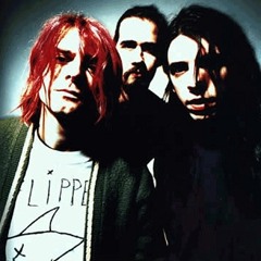 Nirvana - Season In The Sun (Cover)