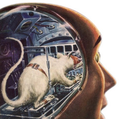 Positive Impact On Head