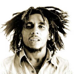 Bob Marley - Sun is Shining (Goondocks Remix)