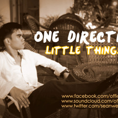 One Direction - Little Things [Sean Wein Cover]
