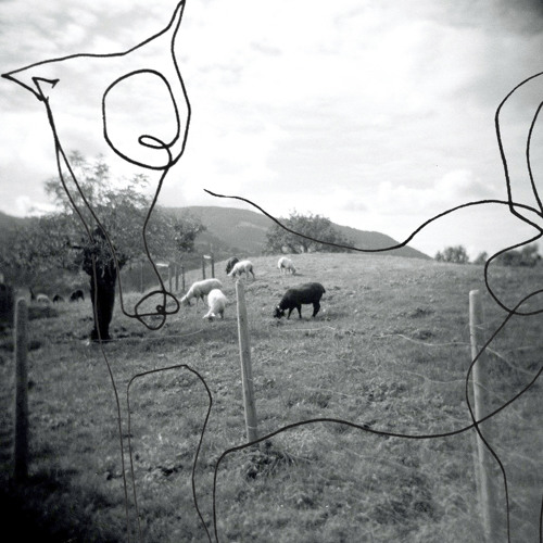 Pete Swanson. Ashley Paul. Soak the Ocean