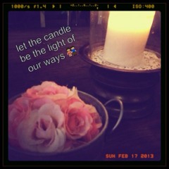 one and only mac version