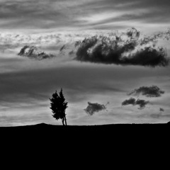 SLOW COLD PEACE (NO ESCAPE MIX by sonologyst)