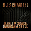 DJ Schmolli - Harlem Shake Gangnam Style (Baauer vs. Psy)