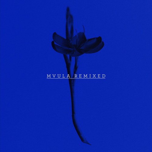 Laura Mvula - Green Garden (S O H N Remix)