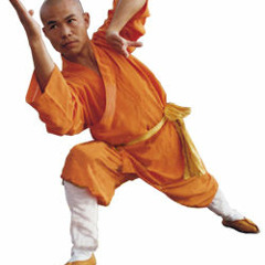 Troo Displays Prowess/shaolin kicks-KungFu Rap