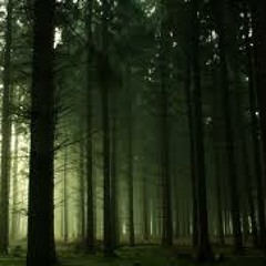 The Forest   (o)†hers -vs- The Cure