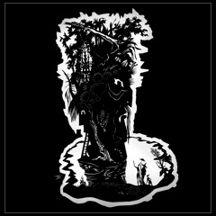 B2 Holtoug - Everybody (Rosa Lux Remix) - vinyl excl. (Snippet)