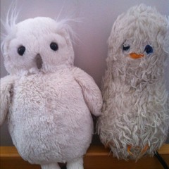 Medicine songs - calling ancestor support