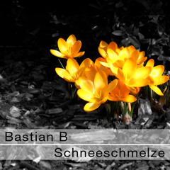 Bastian B - Schneeschmelze (Februar 2013)