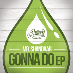 Mr Shandaar - Gonna Do EP (JUICED MUSIC)