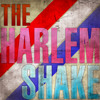 HARLEM SHAKE