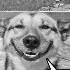 (o_O') - Barcelona Hills