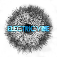 ElectricVibe