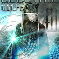 Electro Shockkk - Electric Wolfe