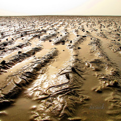 Dili Dili Mohammad Shahsavari