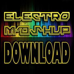 REMIX PACK  MEGA PACK VA - ELECTRO MASHUP [33 EDITS] [www.remixproject.net]