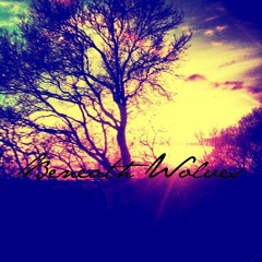 Beneath wolves_Karma