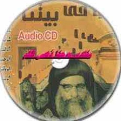 زهـــــور جميلة