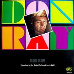 Standing in the Rain (Falcon Punch Edit)