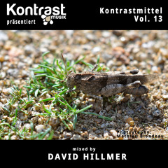 Kontrastmittel Vol. 13 mixed by David Hillmer