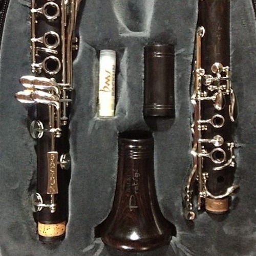 Stream Backun Protege clarinet by klezmertom | Listen online for 