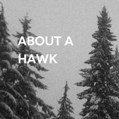 About a hawk