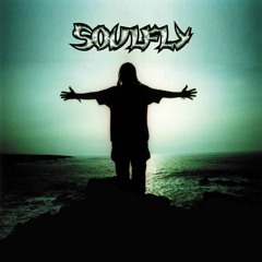 Soulfly - Back to the primitive