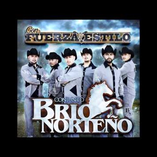 MIX CONJUNTO BRIO NORTEÑO