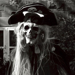 Hardcore/Frenchcore - Pirate sonore