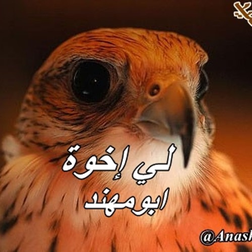 لي إخوة (ابومهند محمدالشمري ) قديم النشيد -البوم لقد عدنا