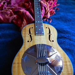 Larry Thompson Experimental Blues