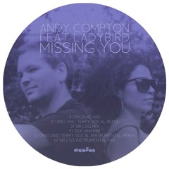 Andy Compton feat. Ladybird - Missing You(Sir LSG Mix)