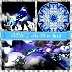 Mr. Blue Bird