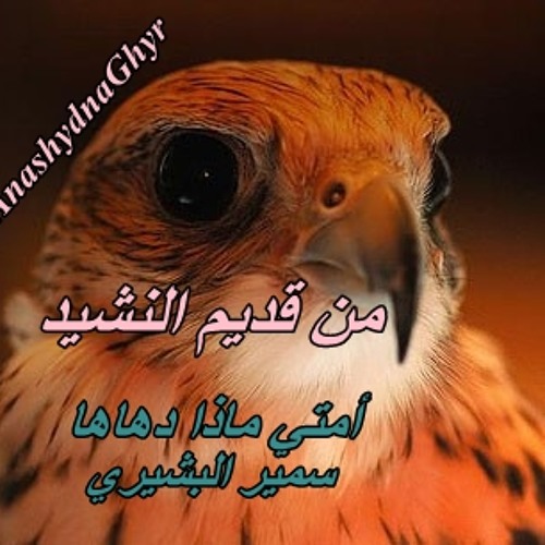 أمتى ماذا دهاها ( سمير البشيري ) قديم النشيد -البوم ولاتهنو