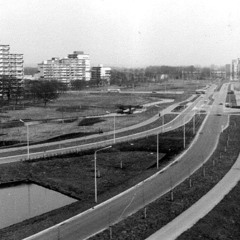 Planologic -D'town Swamp