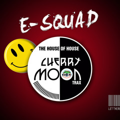 E-Squad - Let there be house (Remix)