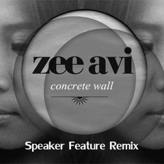 Concrete Wall