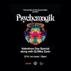 Mike Zarin - Opening Set for Psychemagik [2.14.13]
