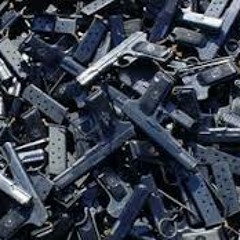 Mae Liz - Great American Gun Confiscation Resistance - 2013