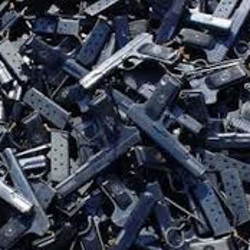 Mae Liz - Great American Gun Confiscation Resistance - 2013