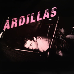 Ardillas - ARDILLAS -Self-Titled- LP - 02 Algun Dia